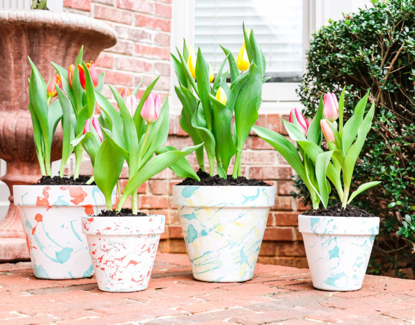 DIY Marbleized Terra-Cotta Pots